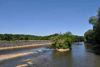 DSC_0445.JPG