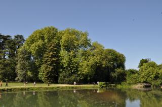 DSC_0167.JPG