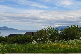 DSC_0808.JPG