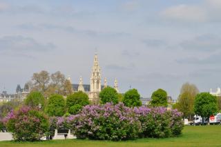 DSC_0514.JPG