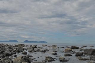 DSC_0843.JPG