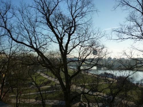 P1090490.JPG