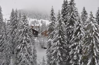 DSC_2041.JPG