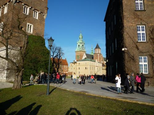 P1090493.JPG