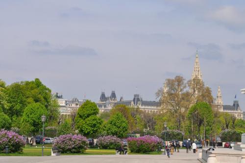 DSC_0506.JPG