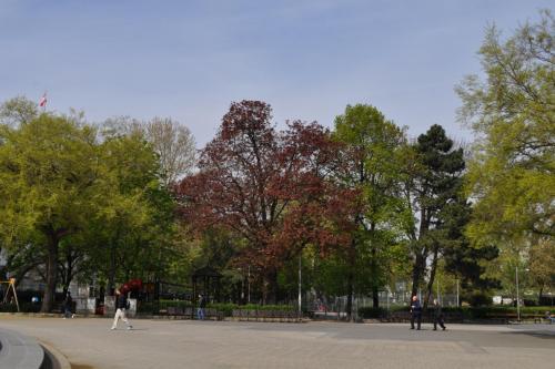 DSC_0491.JPG