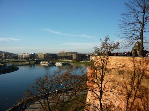 P1090495.JPG