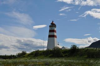 DSC_0780.JPG