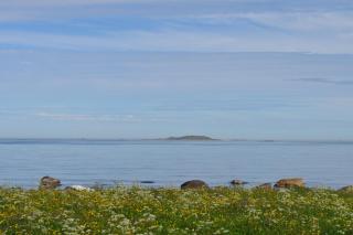 DSC_0761.JPG