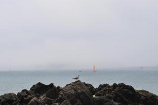 DSC_0954.JPG
