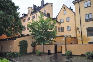 Викинги  (340).JPG