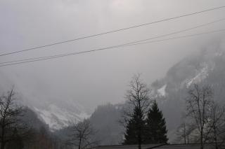 DSC_1915.JPG