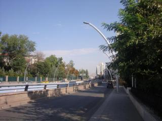 DSC06016.JPG