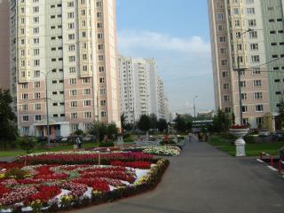 DSC03231.JPG