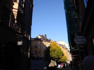 DSC01267.JPG