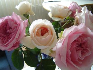 DSC03334.JPG