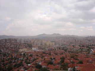 DSC06108.JPG