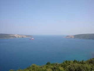DSC05938.JPG