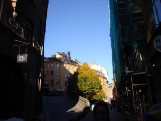 DSC01268.JPG