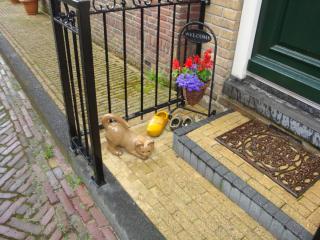 DSC04125.JPG