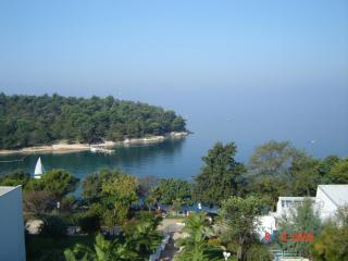 DSC01363.JPG