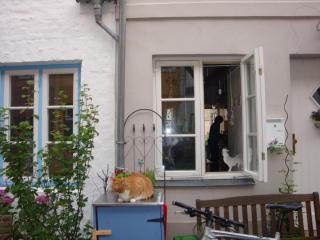 DSC03835.JPG