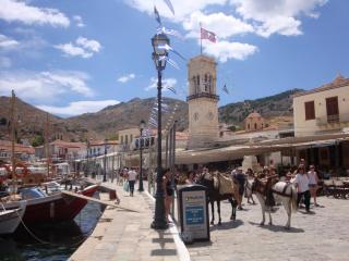 DSC07690.JPG
