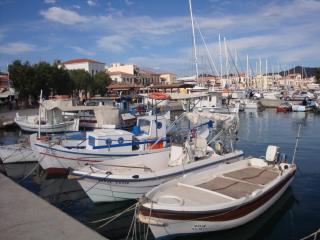 DSC07804.JPG