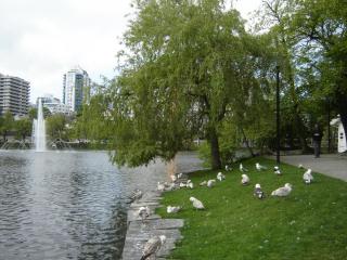 DSC03978.JPG
