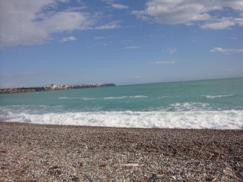DSC09960.JPG