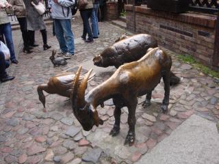 DSC02643.JPG