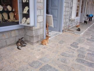 DSC07728.JPG