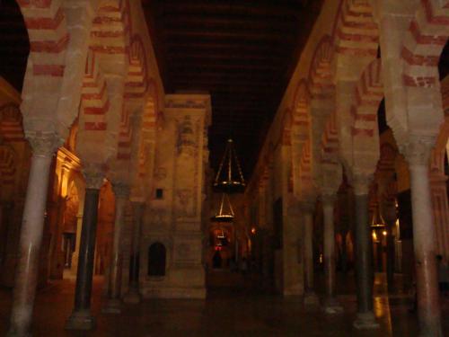 DSC08803.JPG