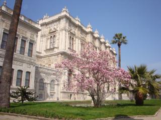 DSC03152.JPG