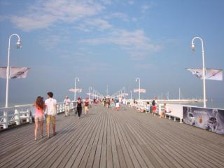 DSC03737.JPG
