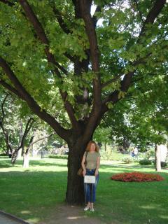 DSC01020.JPG