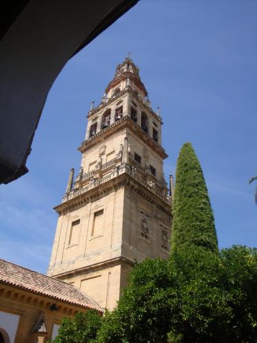 DSC08789.JPG
