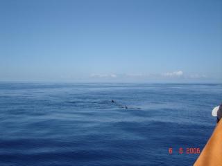 DSC01013.JPG