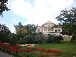 DSC05824.JPG