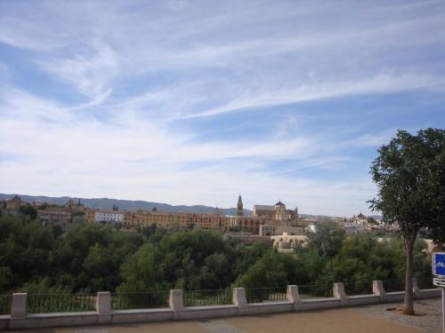 DSC08883.JPG