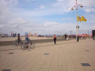DSC04365.JPG