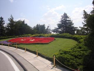 DSC06043.JPG