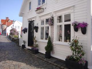 DSC01558.JPG