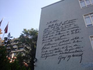 DSC06017.JPG