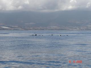 DSC01030.JPG