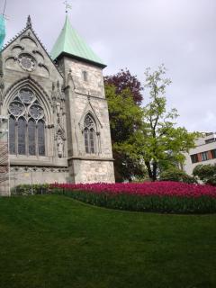 DSC01564.JPG