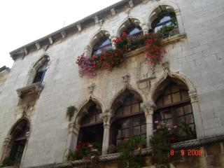 DSC01382.JPG