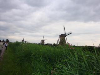 DSC04416.JPG
