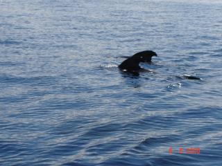 DSC01045.JPG