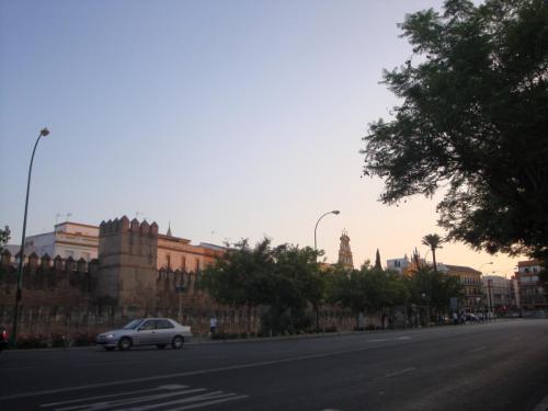 DSC09024.JPG